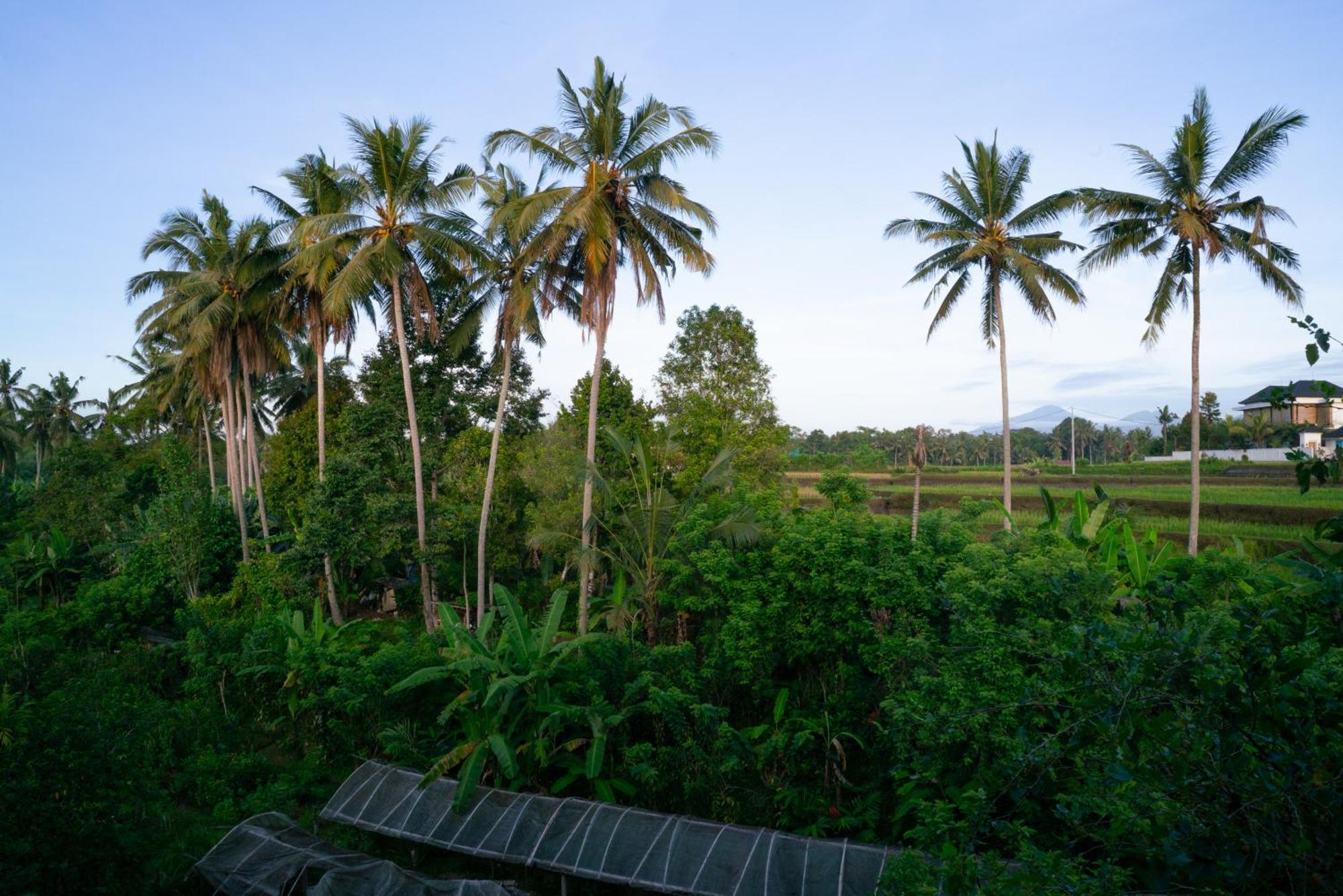 Karang Lila Bhuana Ubud Exterior foto